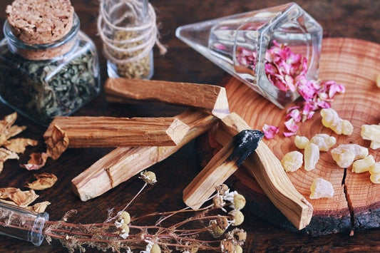 Le Palo Santo, arbre sacré de purification - Aurore Lune