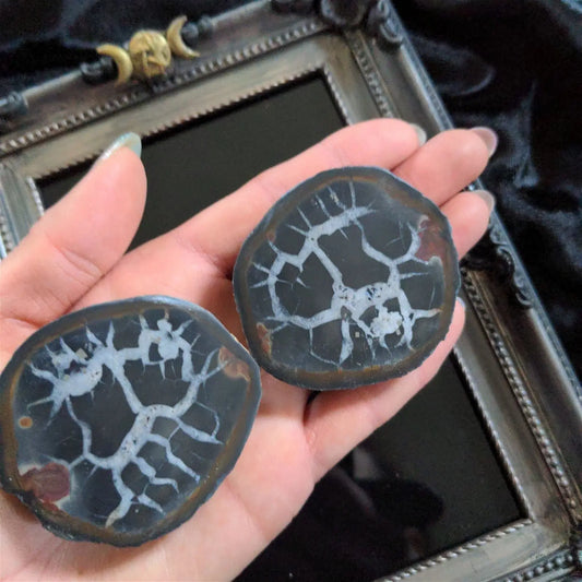 1 Paire de septaria photo contractuelle - Aurore Lune