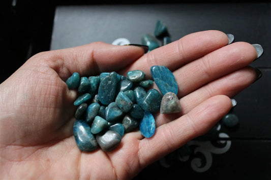 1 apatite bleue taille petit haricot - Aurore Lune