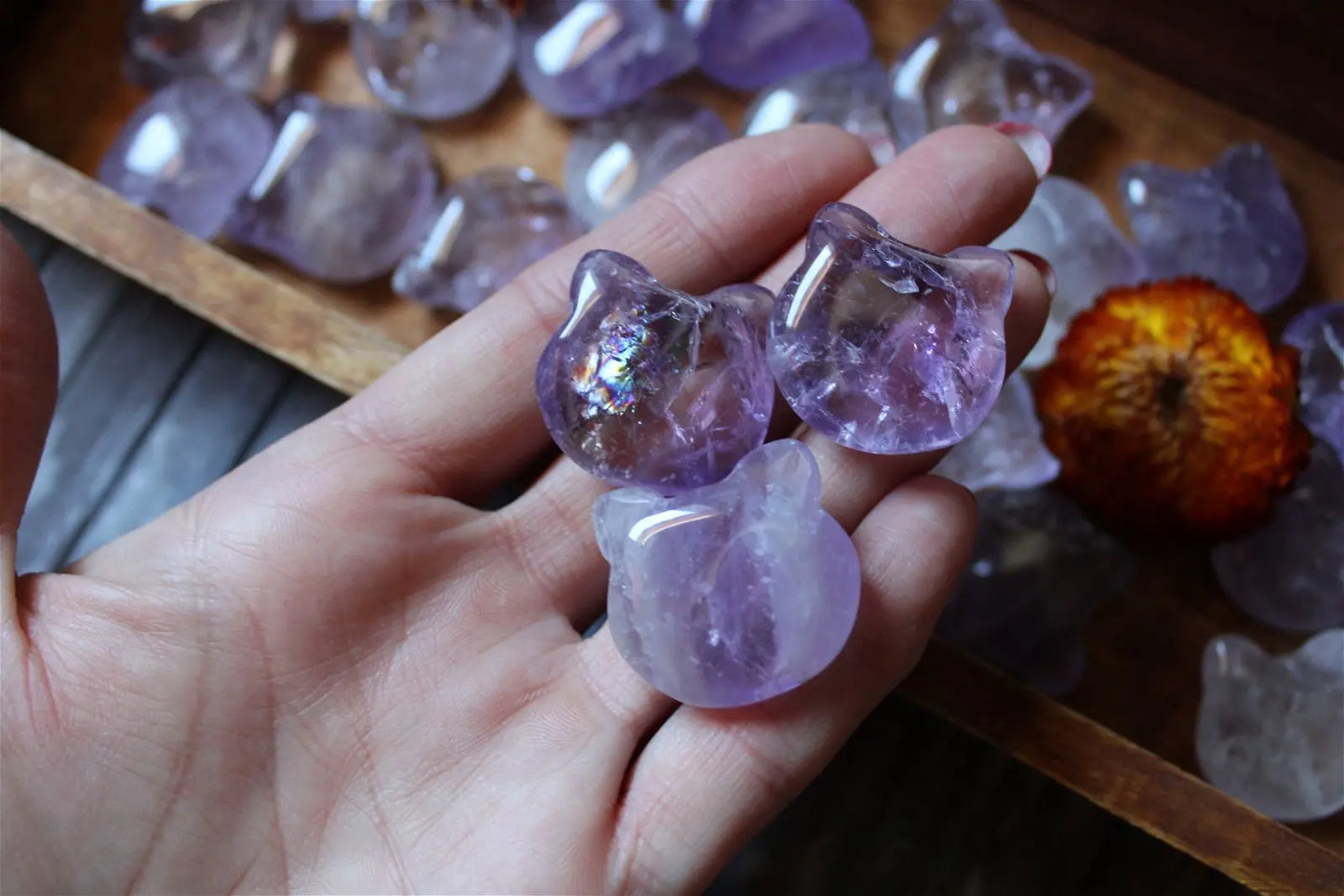 1 cabochon chat en améthyste - Aurore Lune
