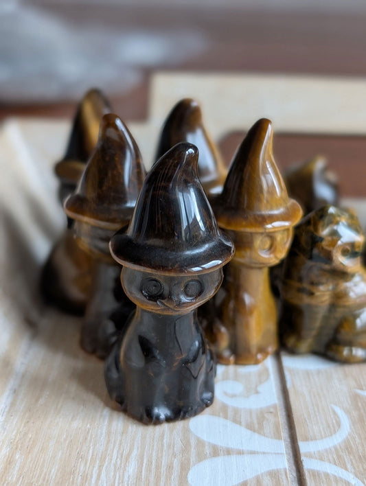 1 chat magicien en oeil de tigre - Aurore Lune