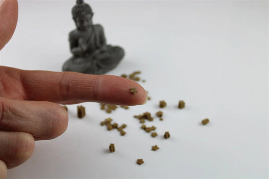 1 étoile de Sion de Lorraine - Aurore Lune