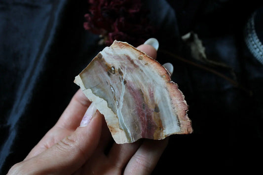 1 morceau de bois fossile AU CHOIX - format colis - Aurore Lune