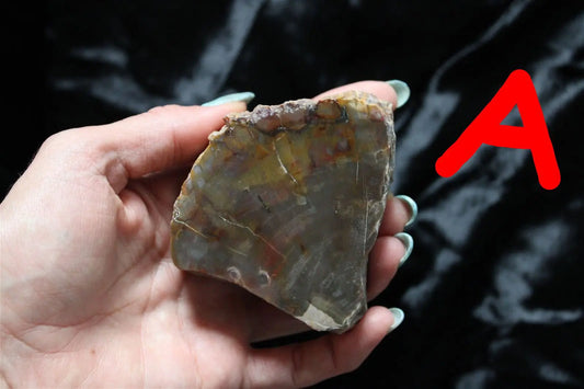 1 morceau de bois fossile AU CHOIX - format colis - Aurore Lune