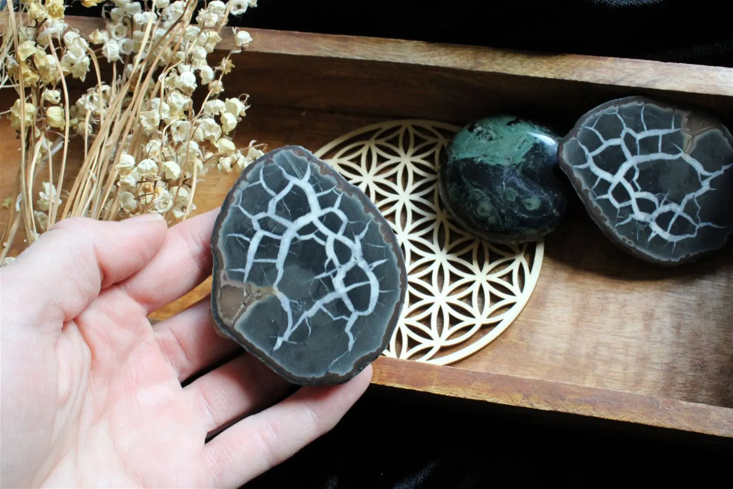 1 paire de septaria conforme photo - Aurore Lune