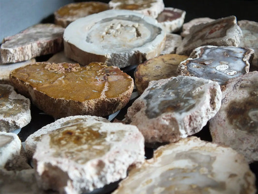 1 petit morceau de bois fossile - Aurore Lune