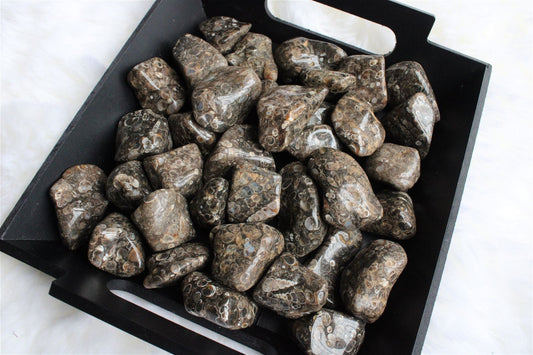 1 pierre roulée en agate turitelle - Aurore Lune