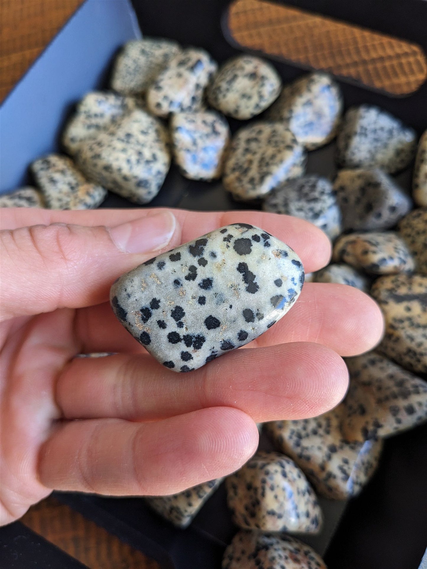 1 pierre roulée en jaspe dalmatien - Aurore Lune