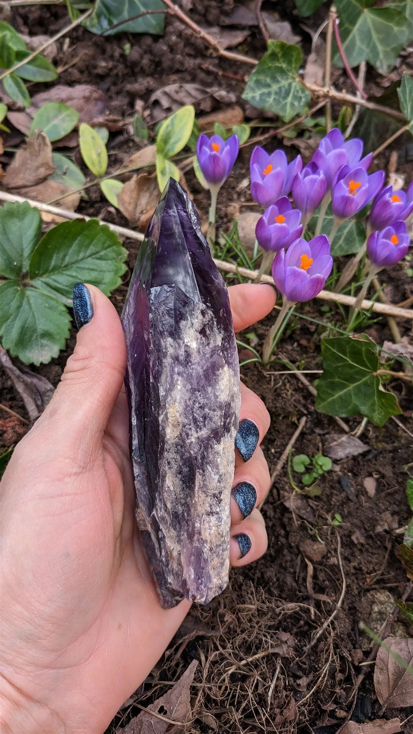 1 pointe brute d'améthyste qualité + 15 cm - Aurore Lune