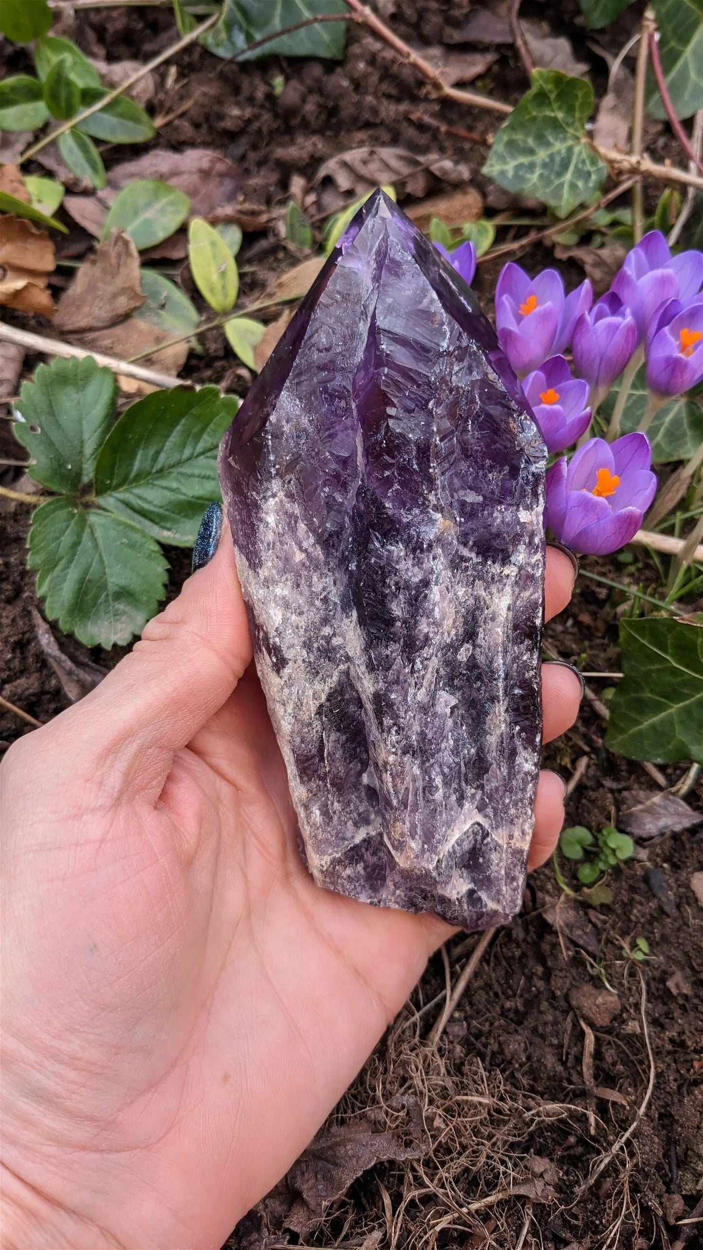 1 pointe brute d'améthyste qualité + 15 cm - Aurore Lune