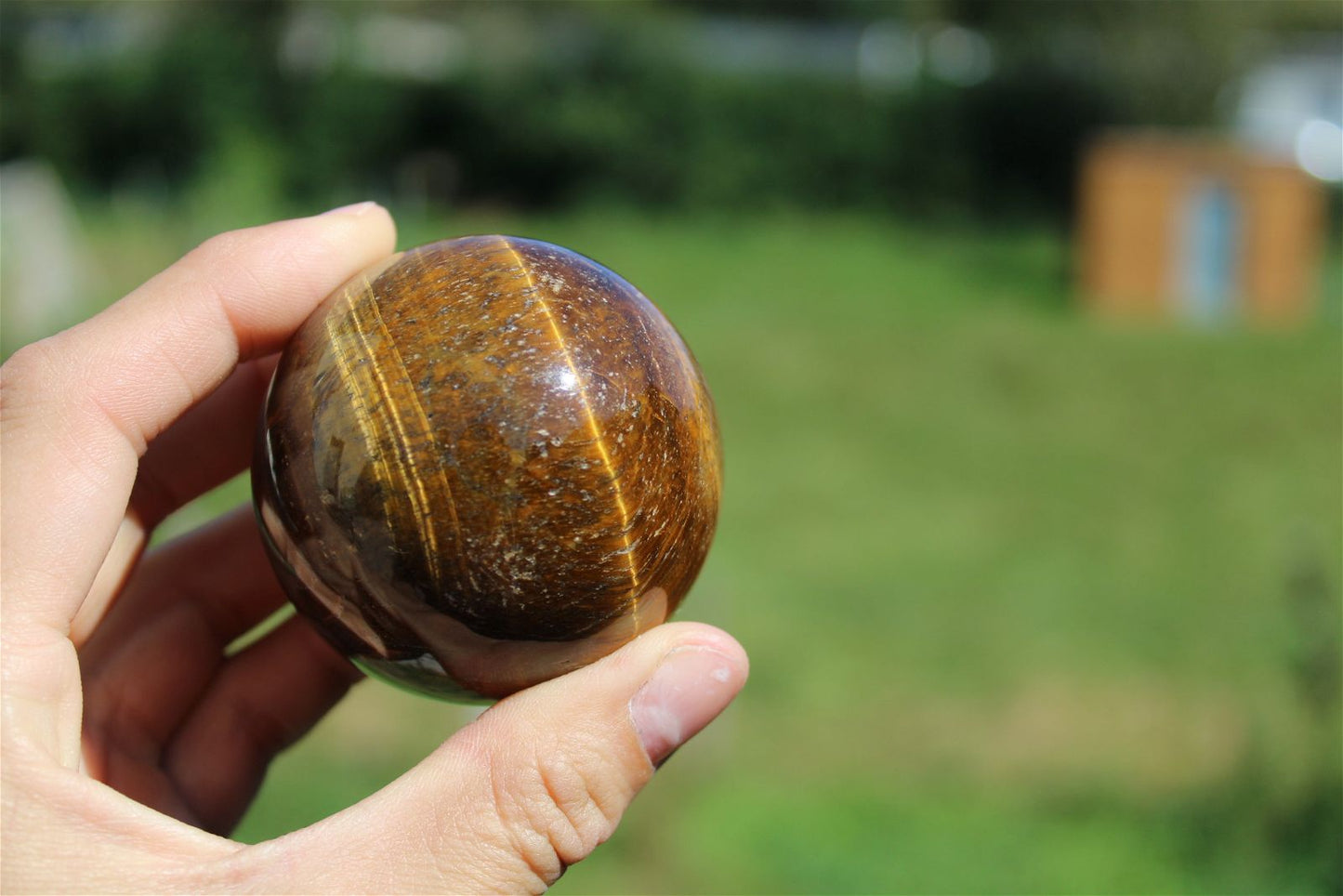 1 sphère oeil de tigre et support bois 5.6 cm - Aurore Lune