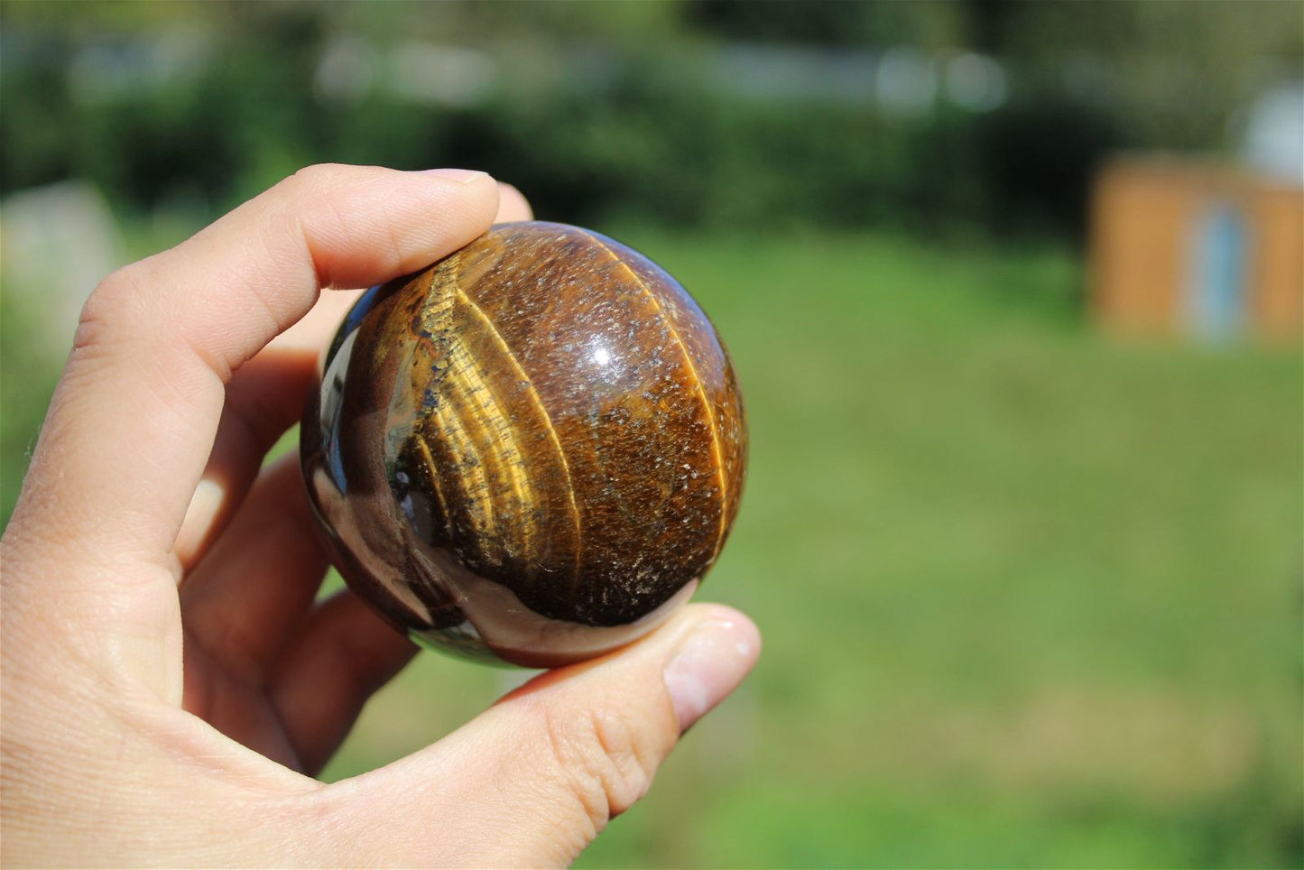 1 sphère oeil de tigre et support bois 5.6 cm - Aurore Lune