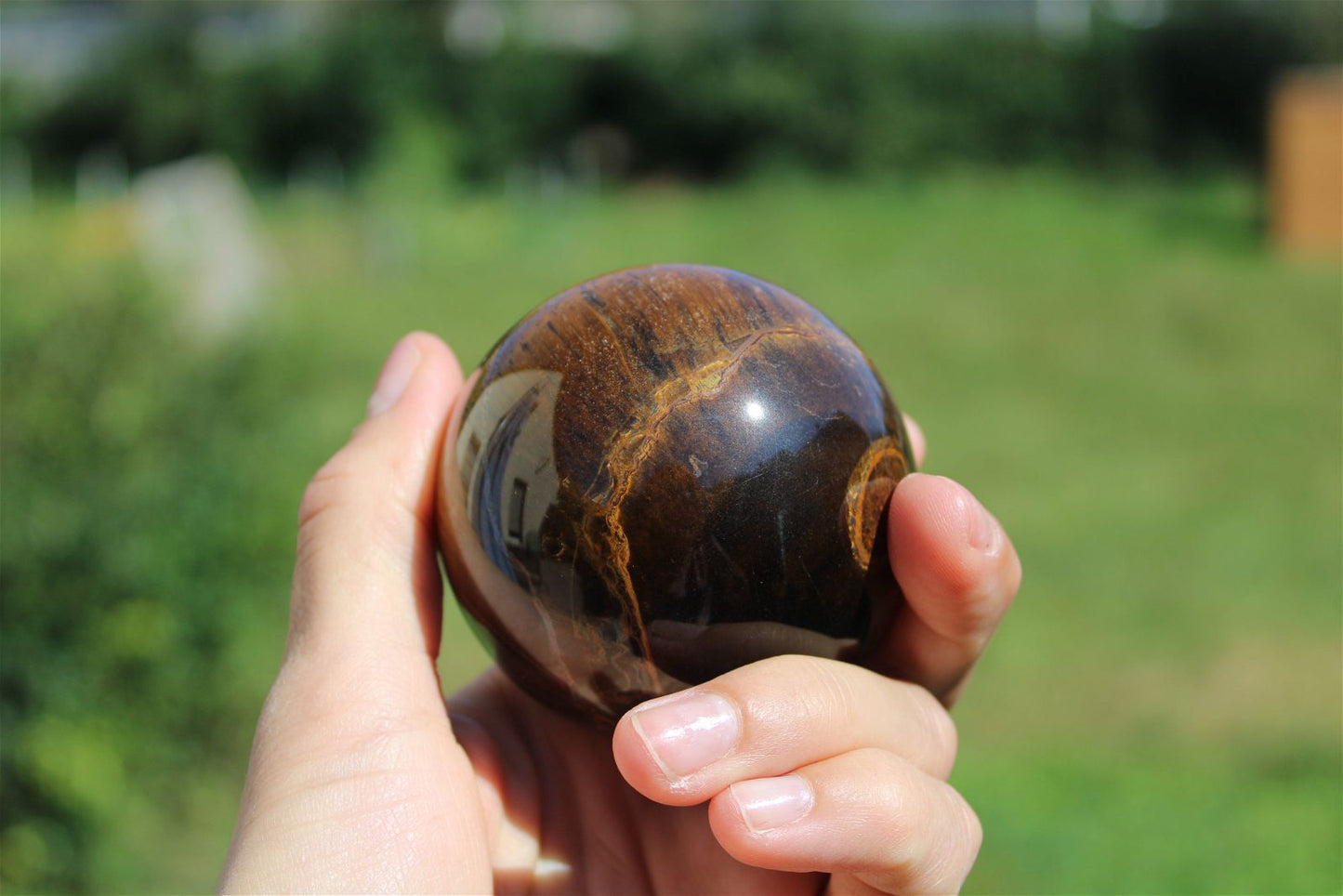 1 sphère oeil de tigre et support bois 6.5cm - Aurore Lune