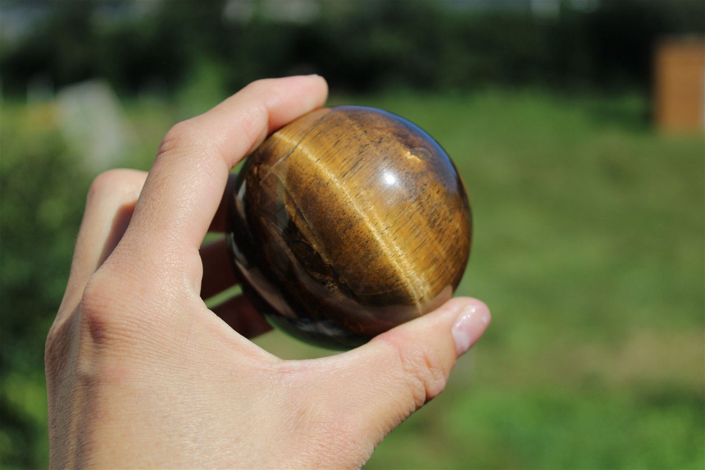 1 sphère oeil de tigre et support bois 6.5cm - Aurore Lune