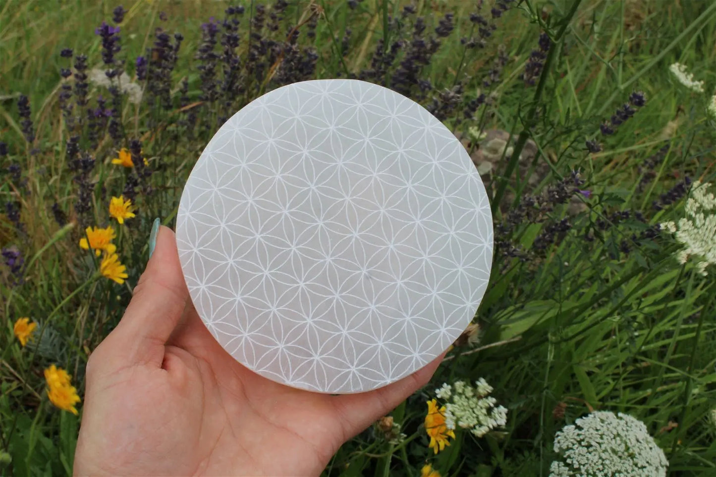 Fleur de vie en sélénite 12 cm - Aurore Lune