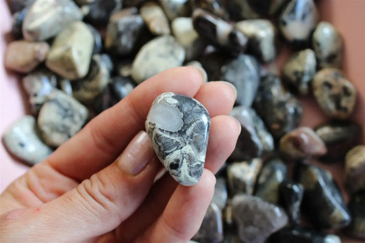 Jaspe silver leaf taille moyenne pierre roulée - Aurore Lune