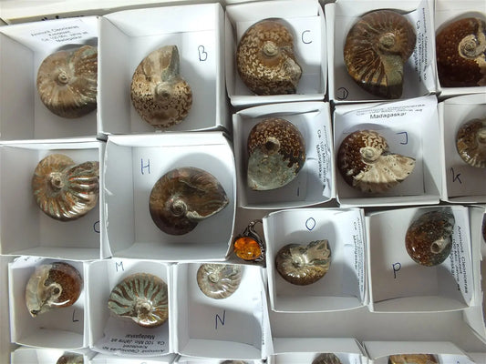 LOT INSTANT PRESENT - ancrage et confiance - Aurore Lune