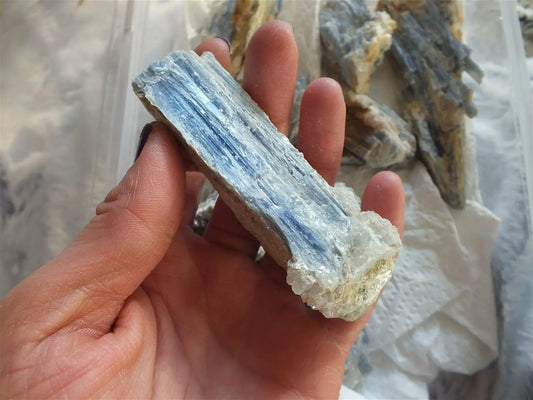 Morceau de disthène cyanite bleue - Aurore Lune