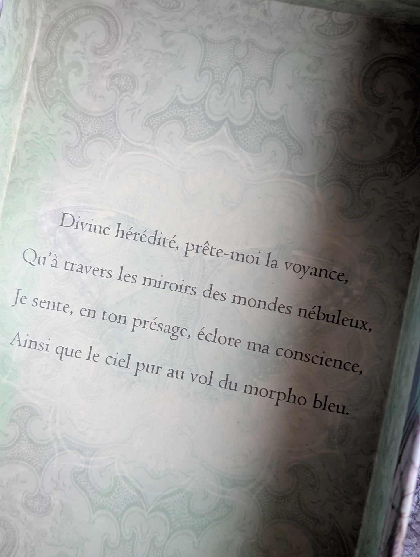 Oracle l'absolu Ange de Gaïa et Gabriel Leroy + pochon secret - Aurore Lune