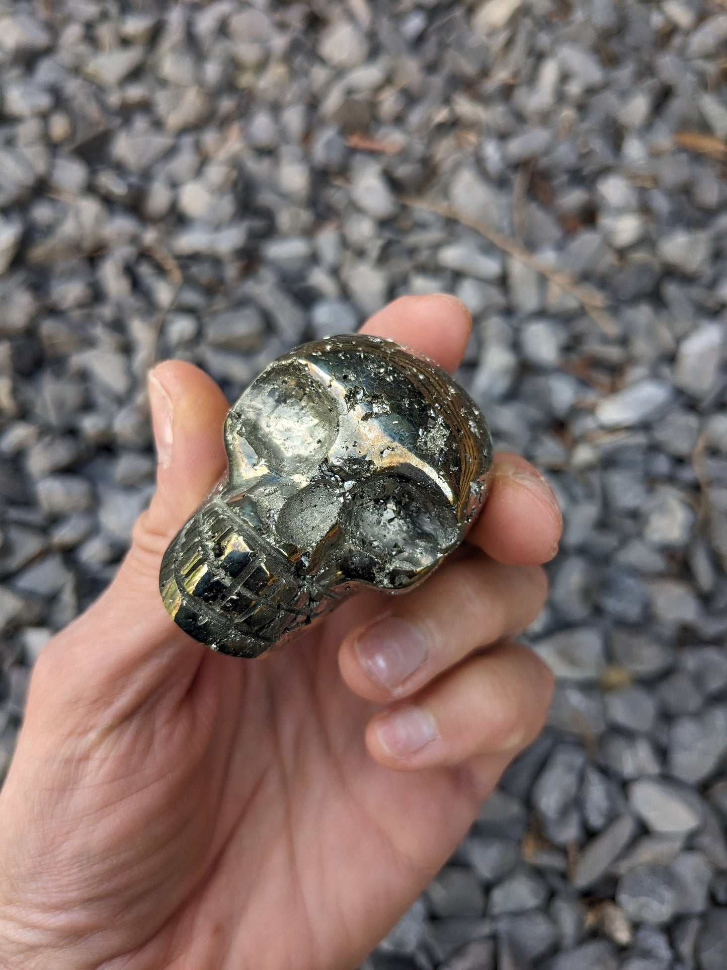 1 crâne en pyrite