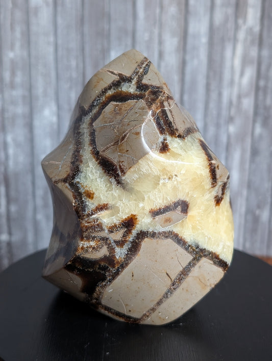 Septaria à poser 10 cm - Aurore Lune