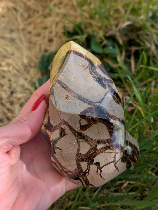 Septaria à poser 12 cm - Aurore Lune