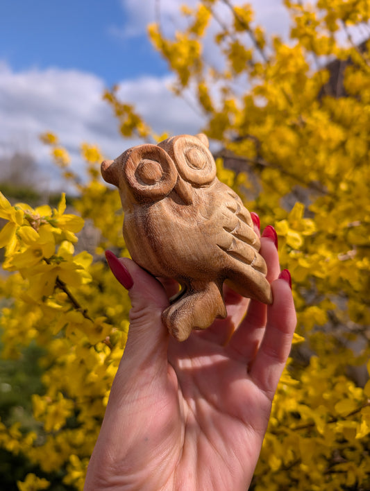 Sifflet chouette - Aurore Lune