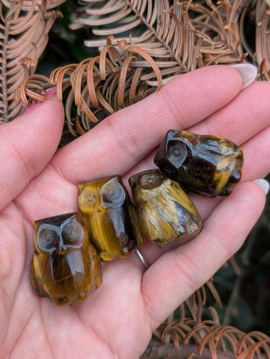 1 chouette en oeil de tigre - Aurore Lune