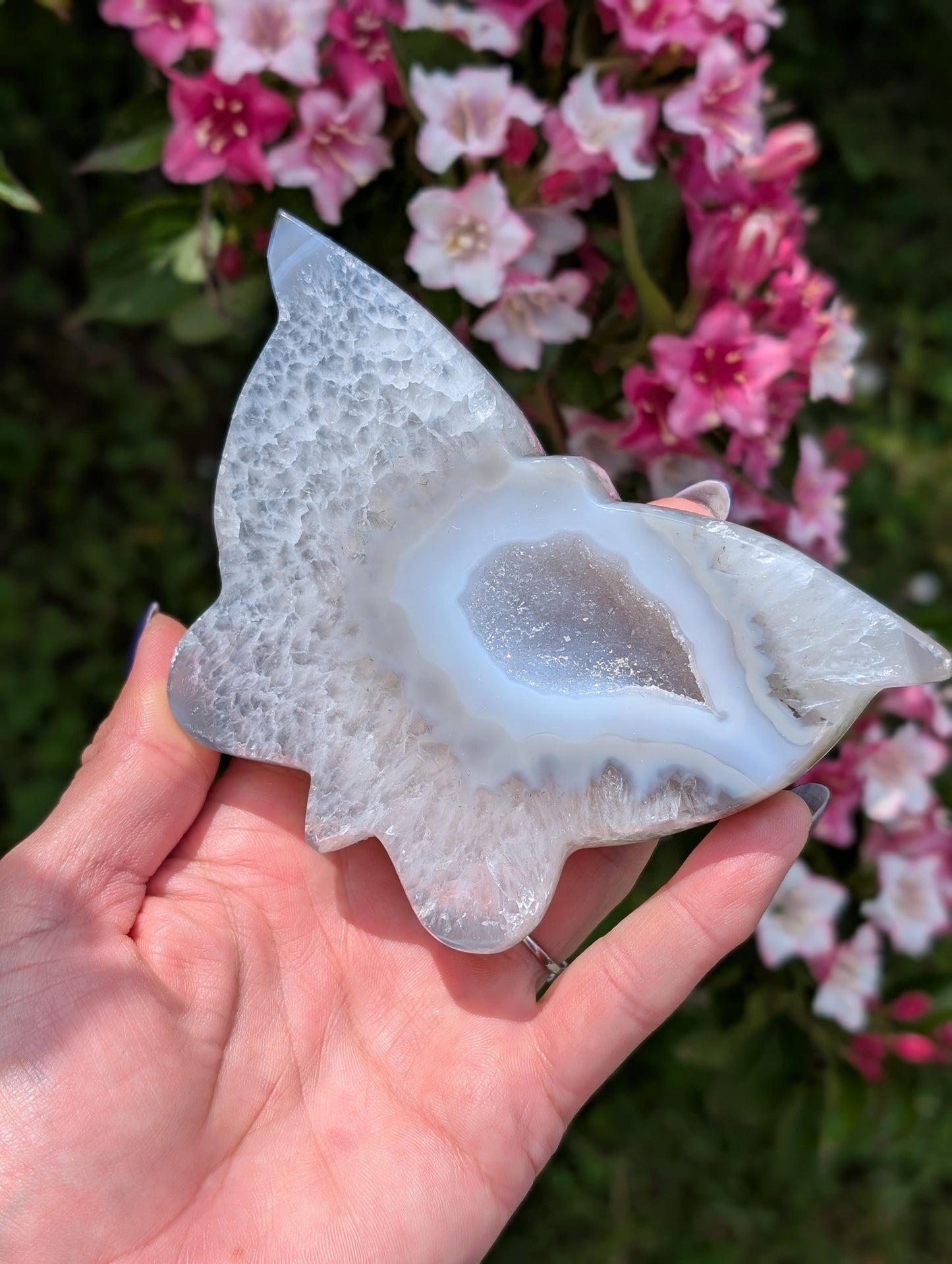 Magnifique papillon agate cristallisée