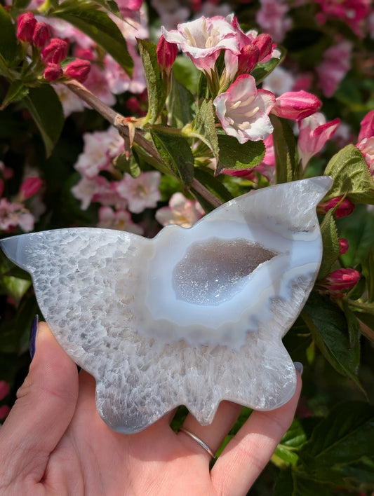 Magnifique papillon agate cristallisée