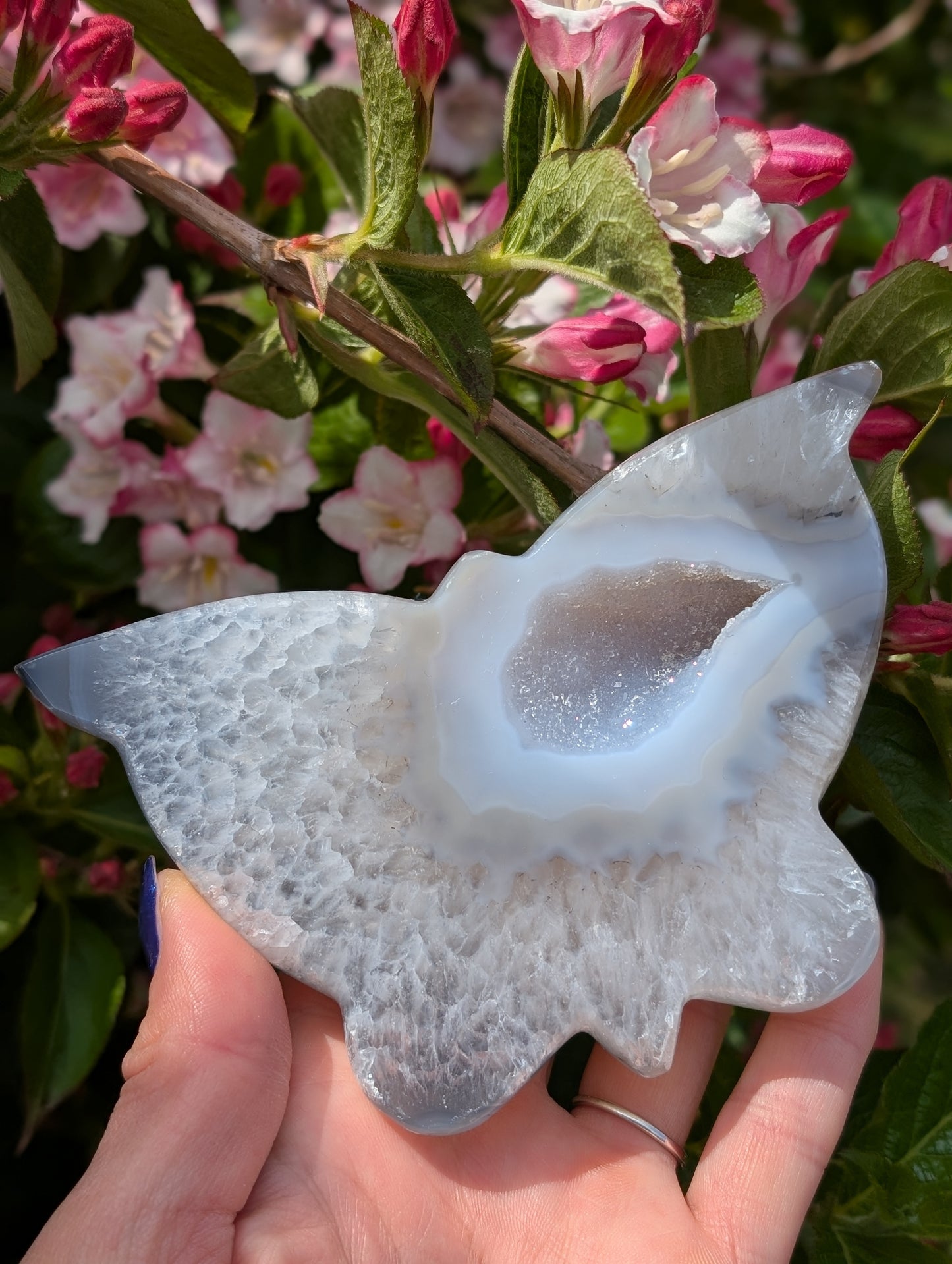 Magnifique papillon agate cristallisée