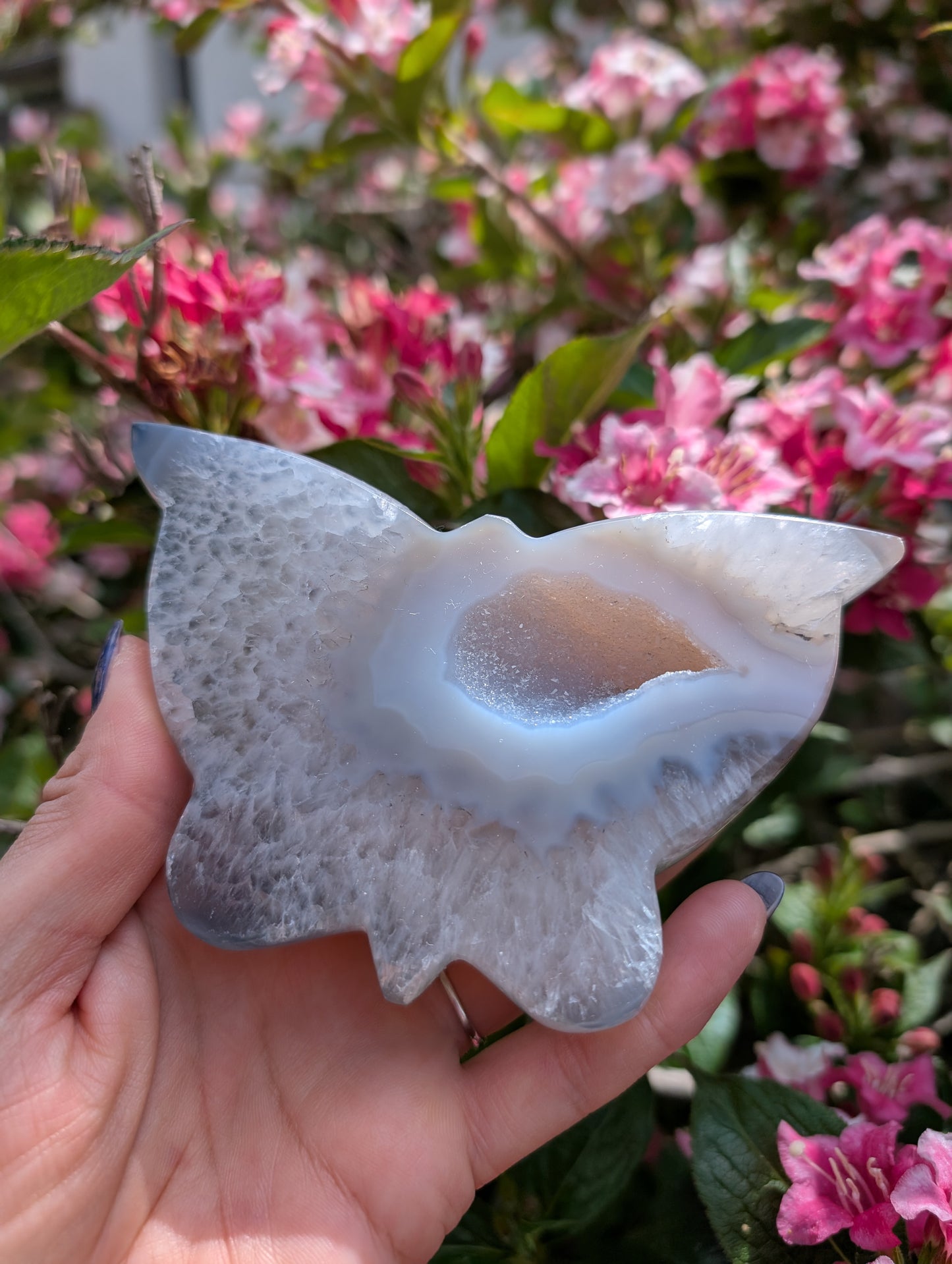 Magnifique papillon agate cristallisée