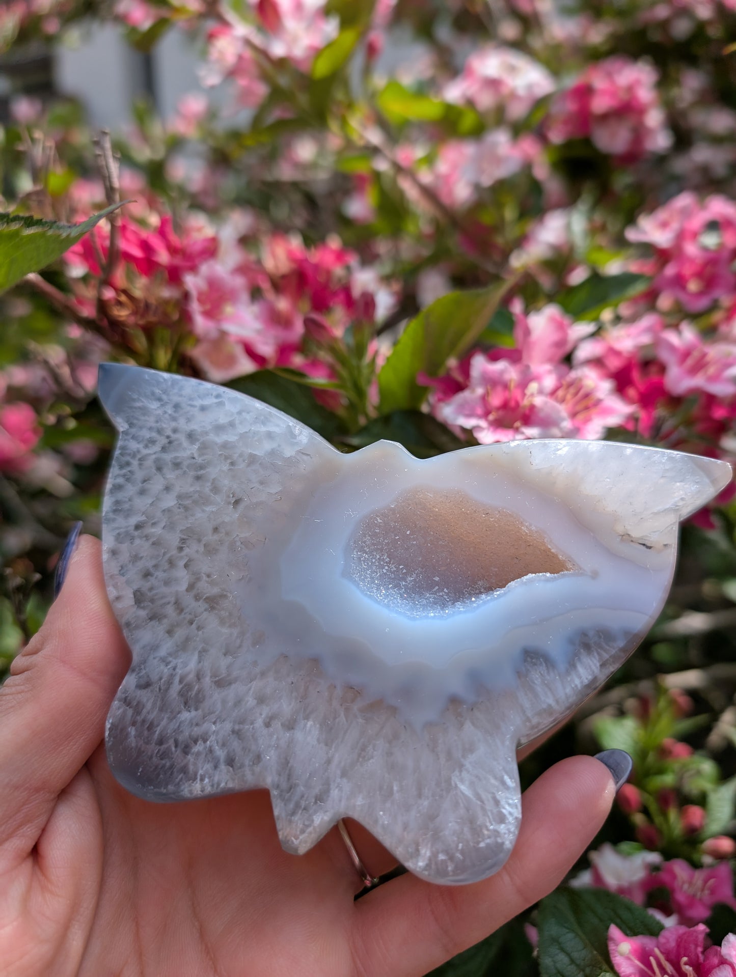 Magnifique papillon agate cristallisée