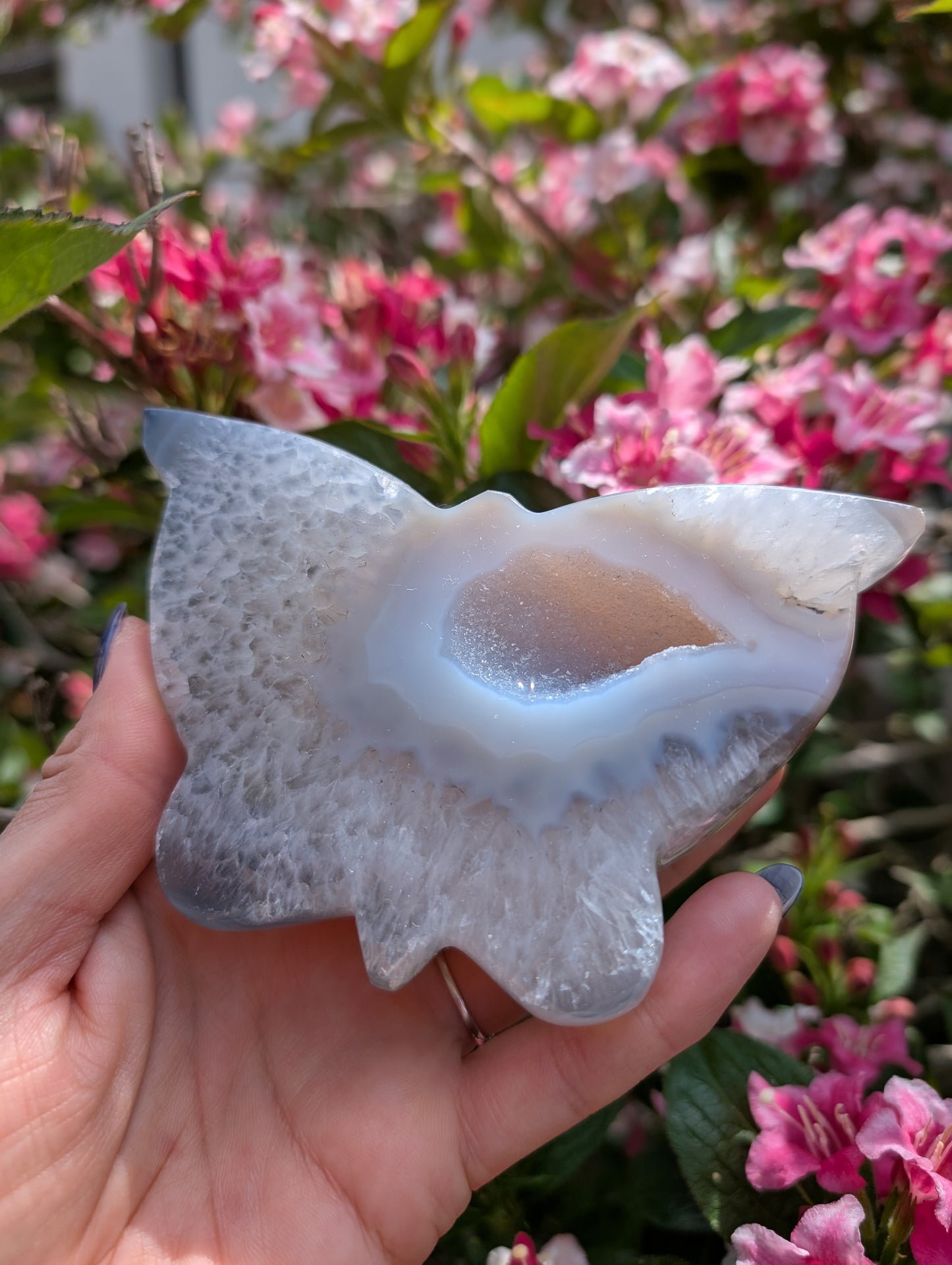 Magnifique papillon agate cristallisée
