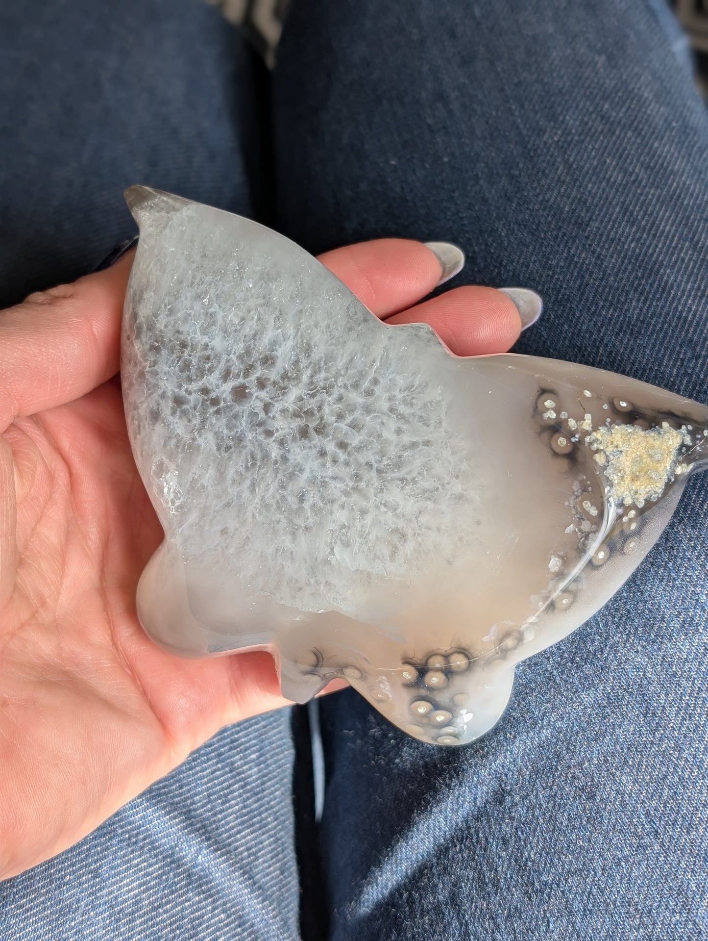 Magnifique papillon agate cristallisée