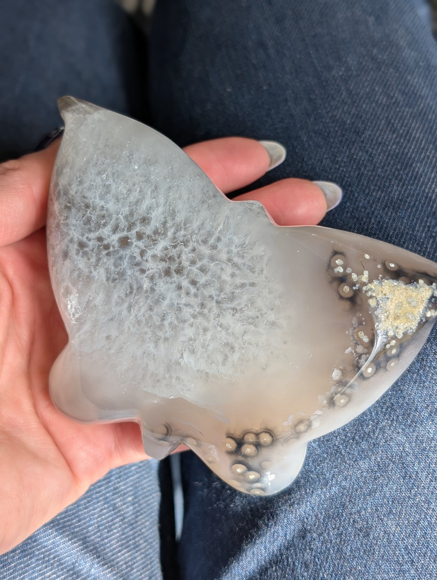 Magnifique papillon agate cristallisée