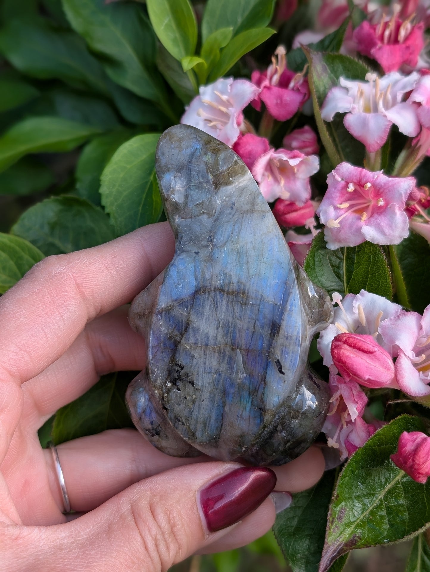 Grenouille crapaud labradorite