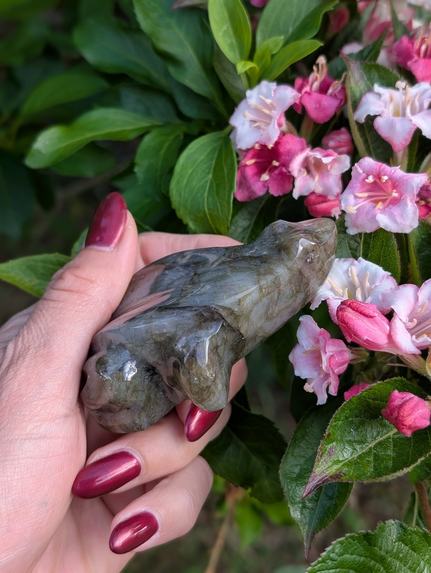 Grenouille crapaud labradorite