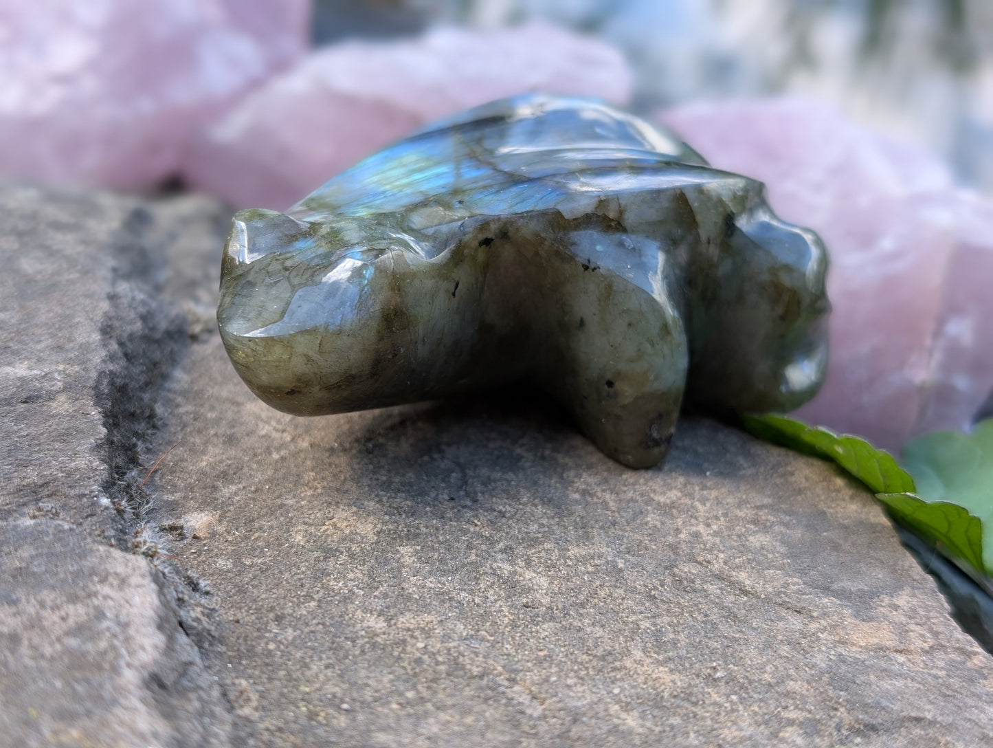 Grenouille crapaud labradorite