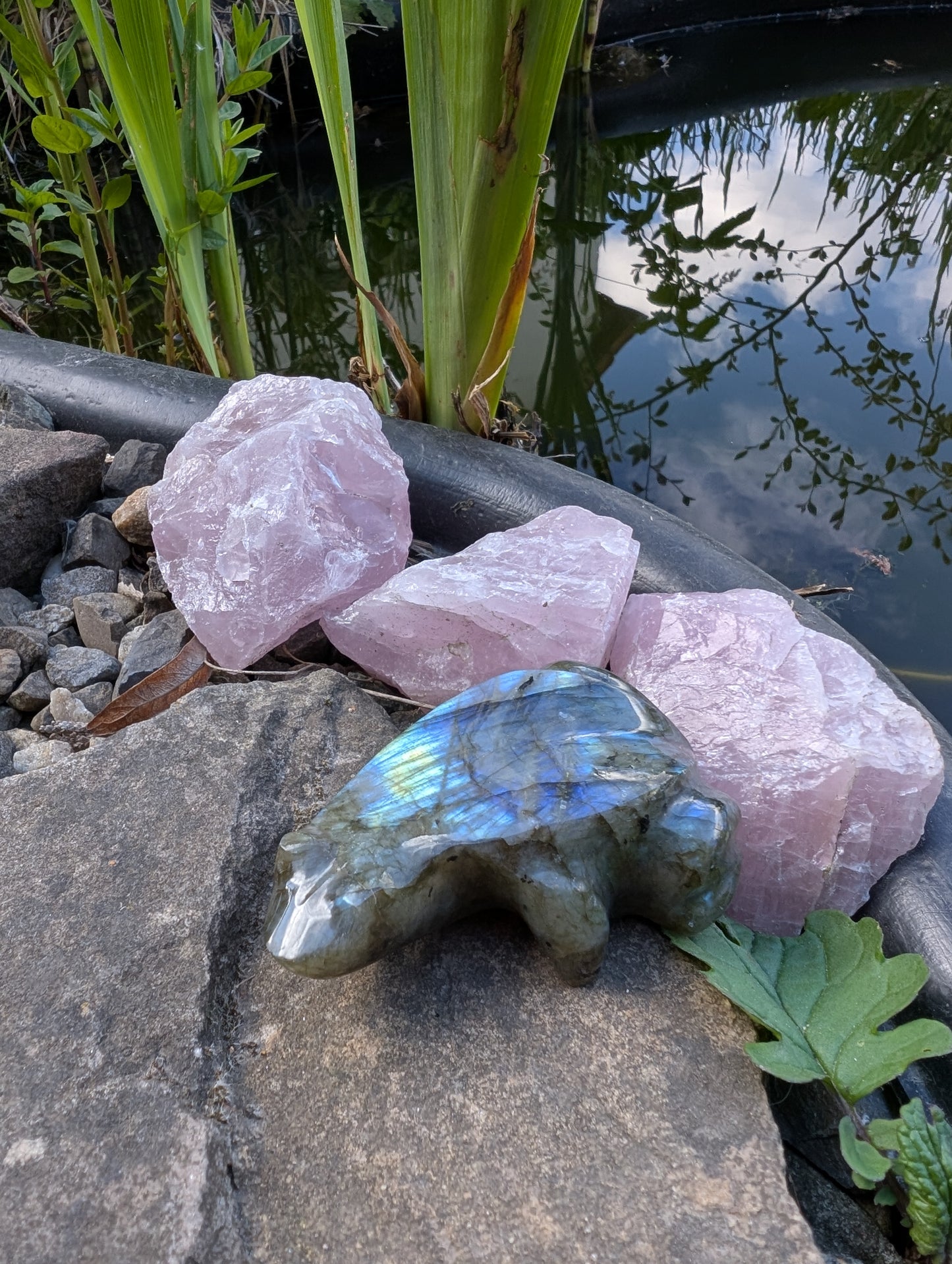 Grenouille crapaud labradorite