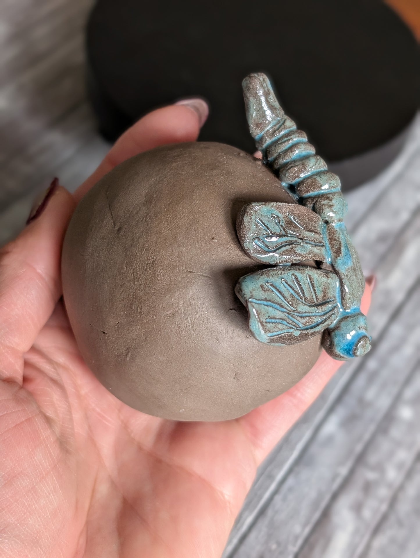 Lot poterie Nuage en trolléite et libellule