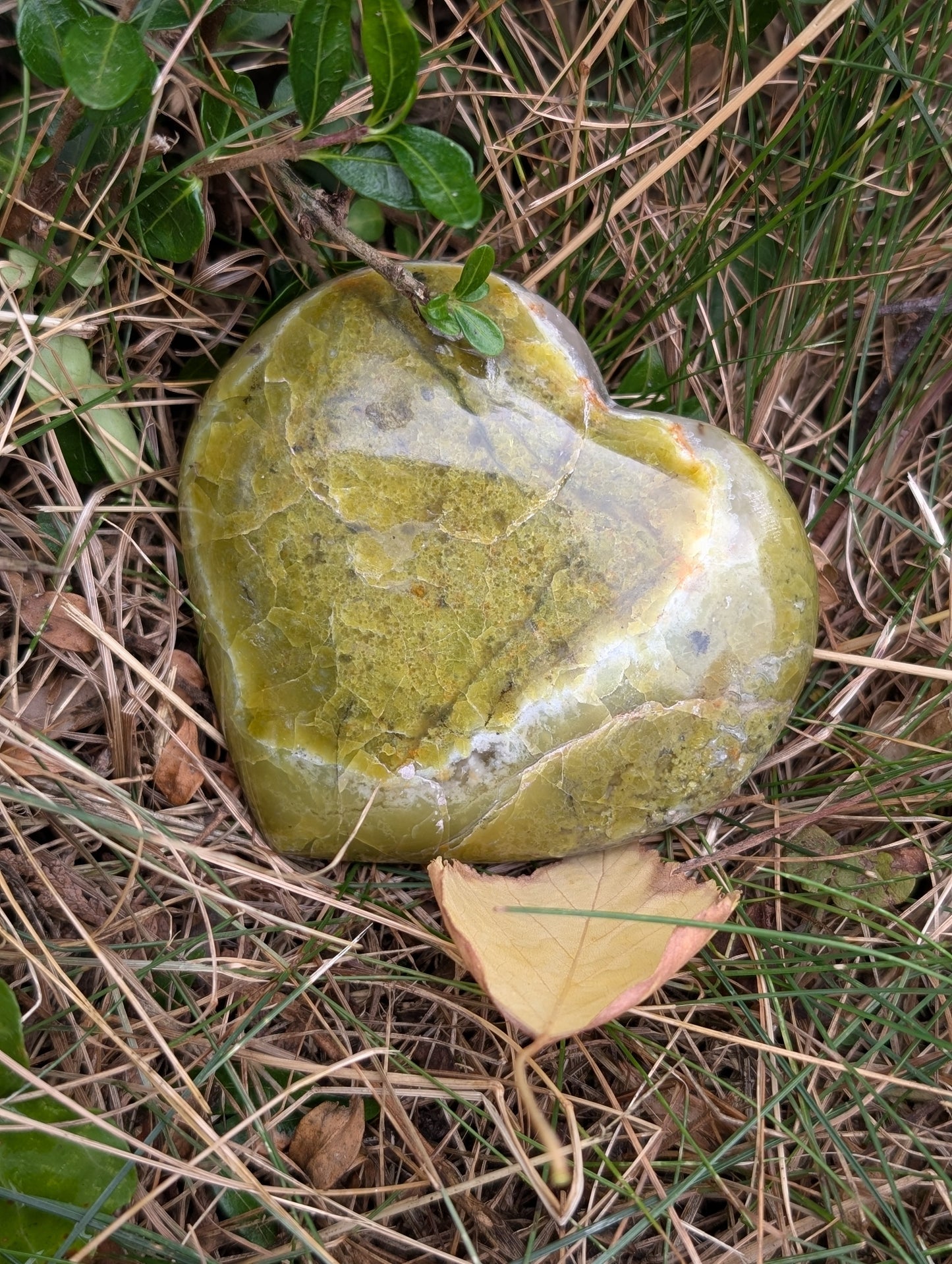 Grüner Opalkiesel