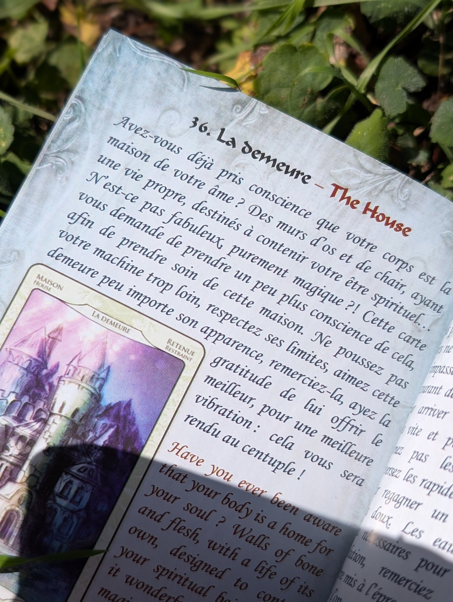 Oracle l'absolu Ange de Gaïa et Gabriel Leroy + pochon secret