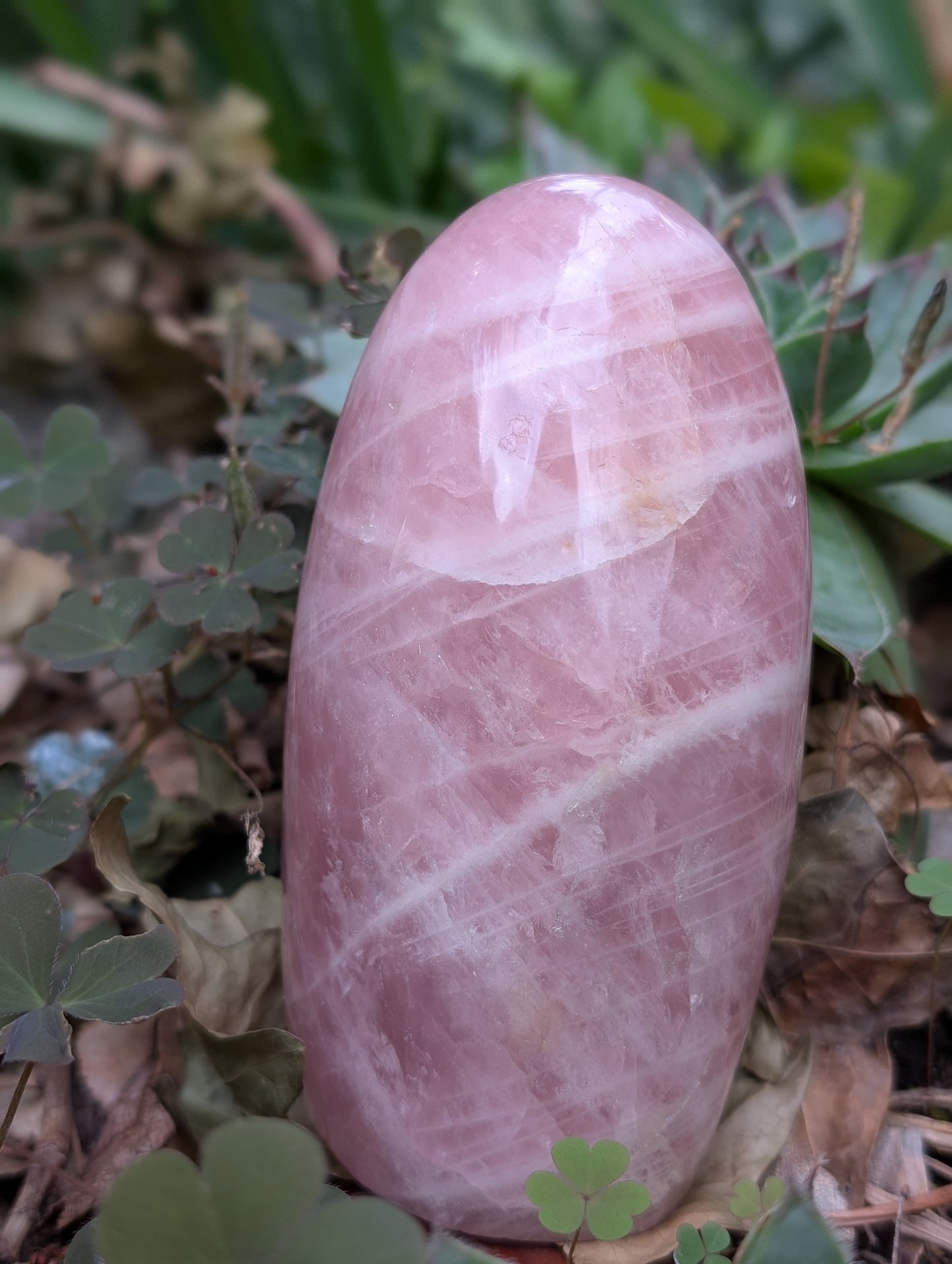 Quartz rose à poser photo contractuelle