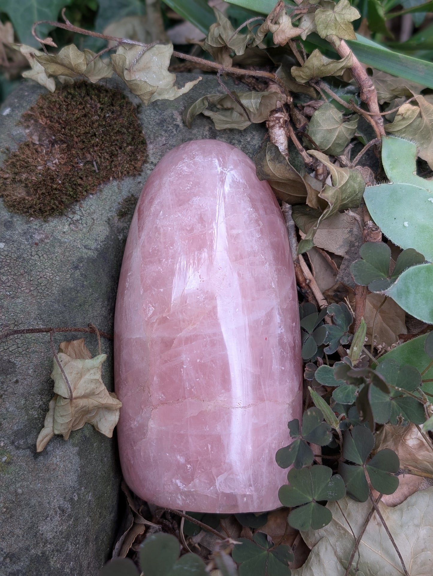Quartz rose à poser photo contractuelle