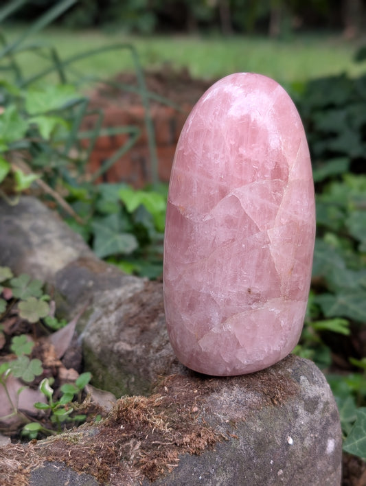 Quartz rose à poser photo contractuelle