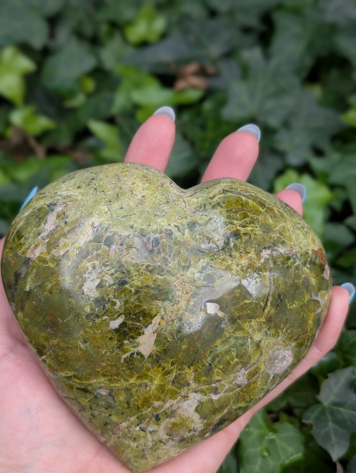 Coeur en opale verte photo contractuelle
