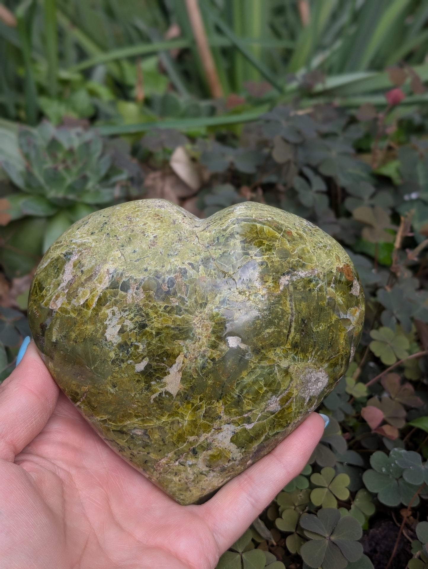 Coeur en opale verte photo contractuelle