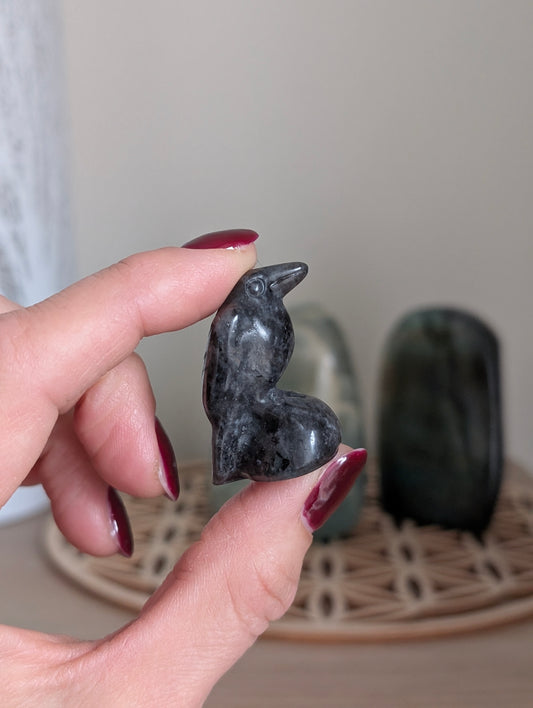 1 corbeau en larvikite