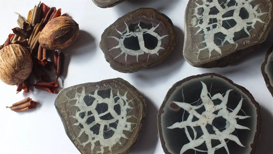 Paire de septaria - Aurore Lune